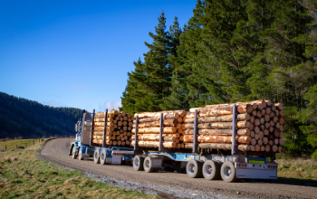 Transforming pathways for forestry contractors